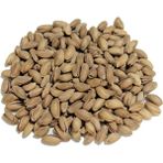 500 gr Kavrulmuş Antep Fıstığı