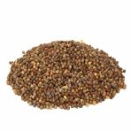 500 gr Rezene Tohumu