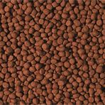 500 Gram Tropical Cichlid Carnivore Medium Pellet Büyük Granül Balık Yemi