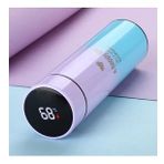500ml Lcd Isı Göstergeli Paslanmaz Çelik Termos & Matara (36)