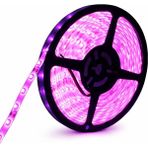 5050 Smd 12V 60 Led/m Iç Mekan 3 Çipli Şerit LED (5 Metre) - Mor