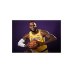 512 STORE Lebron James Duvar Poster 30x42, 549552315