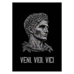 512 STORE Sezar Veni Vidi Vici Duvar Poster, 2938828s28