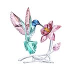 5728071 Swarovski Biblo Hummingbird 5728071