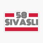 58 Sivaslı Plaka Araba Sticker Yapıştırması