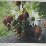 5D Yapışan Boncuk Goblen 30 x 40 cm Mozaik Tablo Pano 60291
