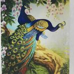5D Yapışan Boncuk Goblen 30 x 40 cm Mozaik Tablo Pano 60794