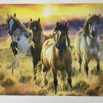 5D Yapışan Boncuk Goblen Mozaik Tablo Pano 40 x 50 cm 76509