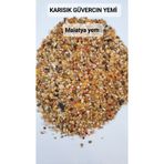 5KG ÖZEL KARIŞIK GÜVERCİN YEMİ