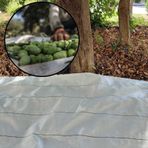 5X8 METRE ZEYTİN SERGENİ ZEYTİN TOPLAMA ÖRTÜSÜ FINDIK FISTIK DUT TOPLAMA FİLESİ BEYAZ HASAT TABAN ÖRTÜSÜ
