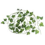 6.89ft Yapay Yapraklar Sürüngen Dekor Sürüngen Bitkileri İçin Asma Vines Leopar Gecko Terrarium Dekorasyon Muhafaza Terraryum Bitkileri Teraryum İçin (Sarmaşık yaprağı)
