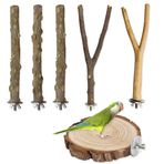 6 adet doğal ahşap kuş oturma çubuğu, kuşlar için doğal tünek seti, doğal ahşaptan kuş, kuş kafesleri için tünek, kuş oyuncağı, papağan, salıncak, oyuncak