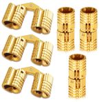 6 Adet Mini Barrel Menteşe 8 mm Pirinç Fıçı Menteşesi Görünmez Bakır Menteşe Dolap Mobilya Menteşesi Kendin Yap Hediye Kutuları Takı Kutusu için 180 Derece Açılma Açısı (Altın)