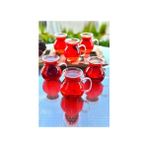 6 Lı Kulplu Tombul Çay Bardağı | Kulplu Kazan Çay Bardağı | Borosilikat Sunum Çay Bardağı - Turuncu