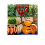 6 Paket Tohum No4 Sebze Tohumları (3 Çeşit Hibrit 3 Çeşit Normal Tohum) Salatalık Tohumu F1 ...