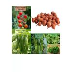 6 Paket Tohum No7 Iska Soğan Tohumu Arpacık Soğan Çeri Domates Frenk Maydanoz Salatalık Biber Tohumu
