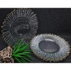6 Parça Şıklığı ve Zarafeti Buluşturan Cam Pasta Takımı 24CM - 24 cm