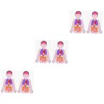 6 Takım Çocuk Insan Vücudu Öğretim Oyuncaklar Modelleri Çocuk Playset Mankenler Organları Modeli İnsan Anatomisi Grafik Organları Oyuncak İnsan Torso Vücut Modeli Eğitici Oyuncak ifundom