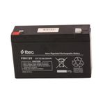 6 Volt 12a Akü -6 Volt 12 Amper Standart Bakımsız Kuru Akü
