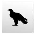 60 cm Kartal Folyo Sticker