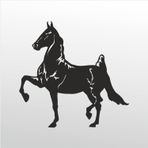 60 cm Kral Folyo Sticker