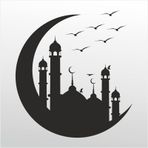 60 cm Martı Folyo Sticker