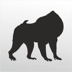 60 cm Orangutan Folyo Sticker