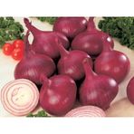60+ Red Burgundy Kırmızı Soğan Tohumu N11.414
