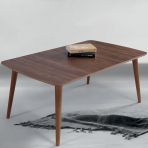 60x100 cm Ahşap Ayaklı Orta Sehpa Ceviz A1
