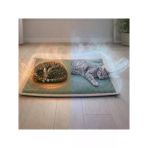 60X40 Cm Kaymaz Kedi Yatağı, Serinletici Termo Jel İle