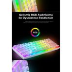 61 Tuş Kablolu Mekanik Klavye Değiştirilebilir Red Switch Rgb Bilgisayar Oyuncu Klavyesi 22 Modlu beyaz