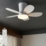 64cm Modern Goes Uzaktan Kumandalı 5 Kanatlı Tavan Vantilatörü Ve Led Lamba Işık 42W Beyaz-Beyaz