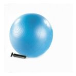 65cm Pilates Jimnastik Topu Pompa Hediyeli