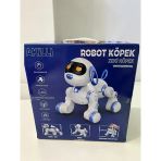 6601 Uzk Kumandalı Dans Edebilen Robot Köpek -Zrv