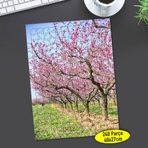 67639167 Bahar Çiçek Ağaçları 240 Parça Puzzle Yapboz