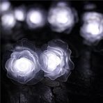 6M 40Led Gül Çiçek İç Mekan Dış Mekan Peri Dize Işıklar Ev Bahçe Çit Düğün Parti Noel Sevgililer Günü Doğum Günü Ambiyans Aydınlatma Dekorasyon için Akülü (Soğuk Beyaz)