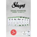 7 AL 6 ÖDE Sleepy Natural Ultra Normal Hijyenik Ped 24 Adet ve 40'lı Günlük Ped