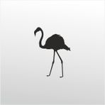70 cm Flamingo Folyo Sticker