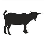 70 cm Keçi Folyo Sticker