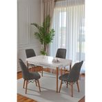 70X110 cm Mutfak Masası Takımı | 4 Kişilik Sabit Masa Sandalye Takımı | Beyaz Masa - Antrasit
