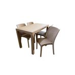 70x120 cm Camsız Rattan Masa 4 Adet Kolsuz Rattan Sandalye Masa Takımı Kapiçino