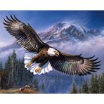 70x90 cm Myglobal Gökteki Kartal Sayılarla Boyama Seti Rulo Duvar Sticker