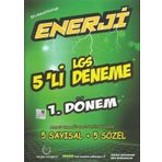 8. Sınıf Enerji LGS 1. Dönem 5 Deneme Palme Yayınları