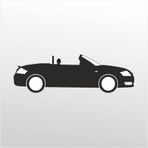 80 cm Audi Folyo Sticker