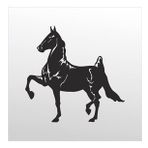 80 cm Kral Folyo Sticker
