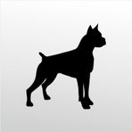 80 cm Pitbull Folyo Sticker