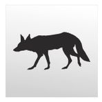 80 cm Tilki Folyo Sticker
