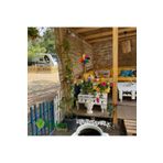 80 CM X 6 Metre Bamvu Kamış Hasır Çit, Misina İpli Bahçe Ve Balkon Dekorasyonu, Gölgelik Reedfence