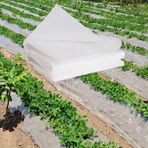 80 mikron (16 x 22 m) su geçirmez HDPE branda, sera, yetiştirme tünelleri, boyalar ve zeminler için toz koruması.