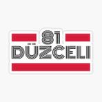81 Düzceli Plaka Araba Sticker Yapıştırması